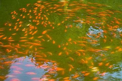 《时间旅者：重生曙光》新情报：杀怪越多 敌人可能会越强